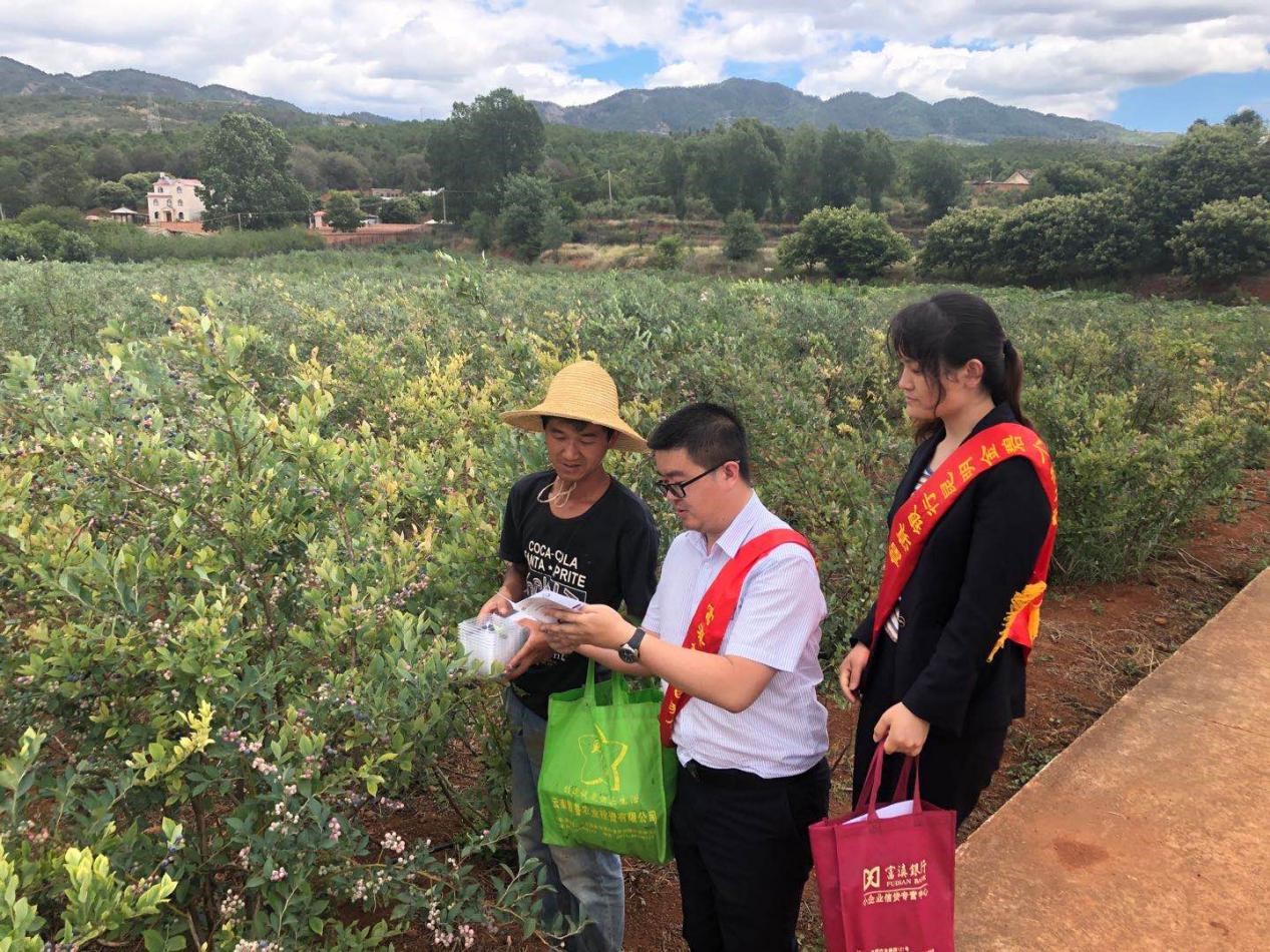 IMG_002.jpg IMG_002.jpg